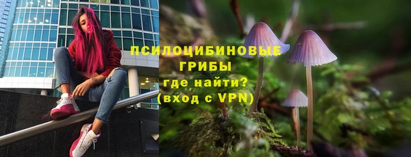 Альфа ПВП Ахтубинск