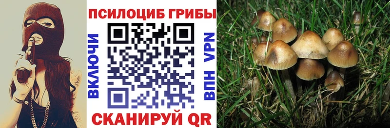 MEGA ТОР  Камызяк  Галлюциногенные грибы MAGIC MUSHROOMS  дарнет шоп 