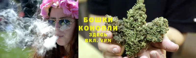 Каннабис SATIVA & INDICA  купить наркотики сайты  Камызяк 